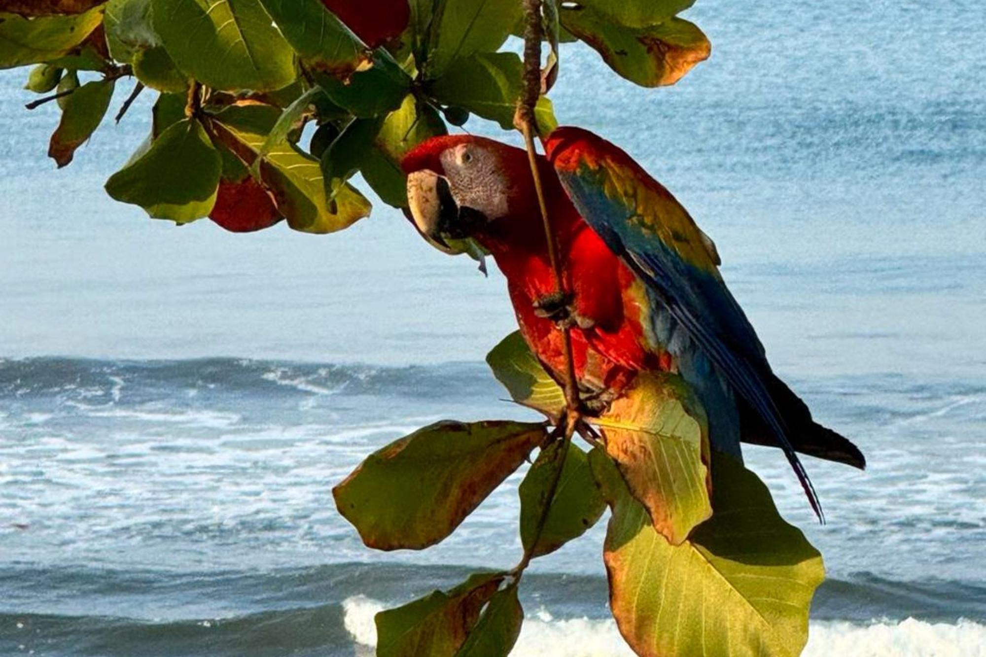 Casa La Palapa Villa Esparza Dış mekan fotoğraf